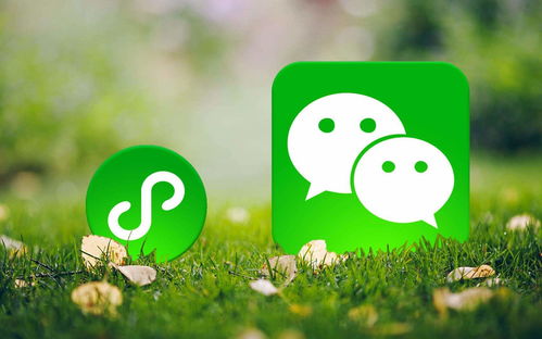 定制開(kāi)發(fā)一套小程序商城要多少錢