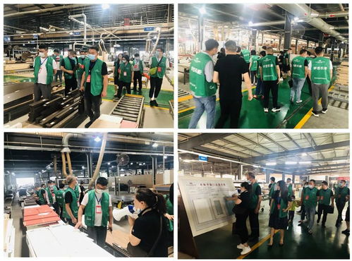 年中盛典，智造未來 619超級工廠購暨財富品鑒會圓滿落幕，揭秘購物商城定制新篇章